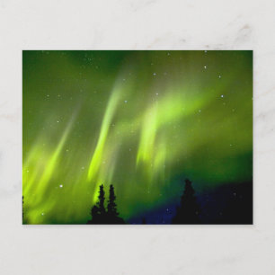 USA, Alaska, Chena Hot Springs. Aurora 3 Postcard