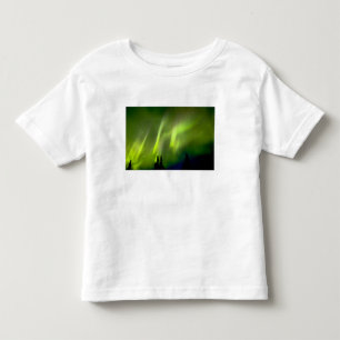 USA, Alaska, Chena Hot Springs. Aurora 3 Toddler T-Shirt