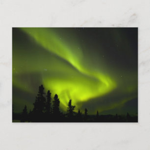 USA, Alaska, Chena Hot Springs. Aurora Borealis 2 Postcard