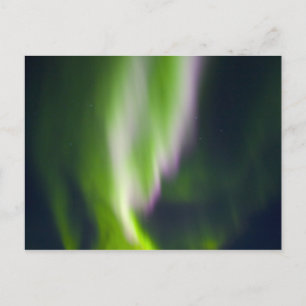 USA, Alaska, Chena Hot Springs. Aurora Borealis Postcard