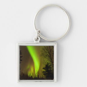 USA, Alaska, Chena Hot Springs. View Of Aurora Key Ring