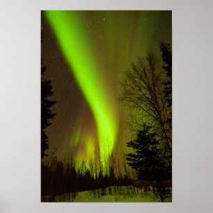 USA, Alaska, Chena Hot Springs. View Of Aurora Poster