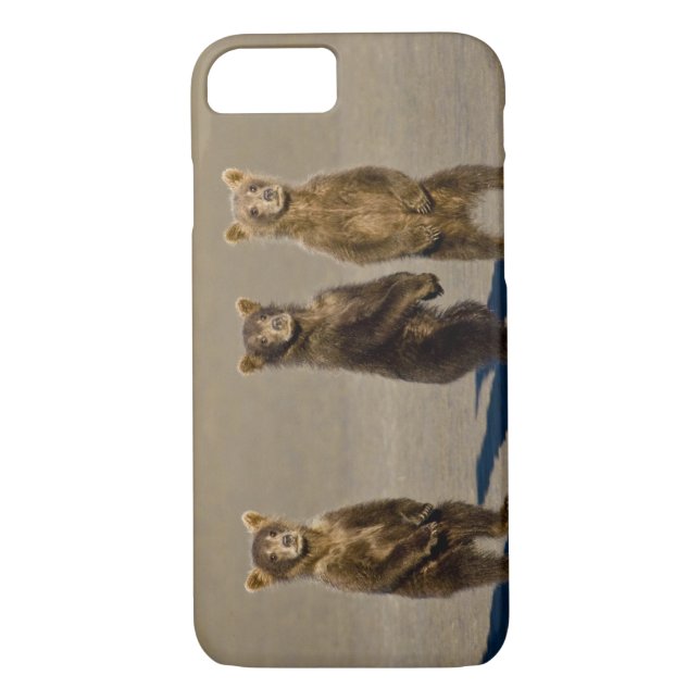 USA. Alaska. Coastal Brown Bear cubs Case-Mate iPhone Case (Back)