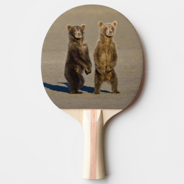 USA. Alaska. Coastal Brown Bear cubs Ping Pong Paddle (Front)