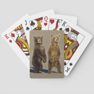 USA. Alaska. Coastal Brown Bear cubs Playing Cards