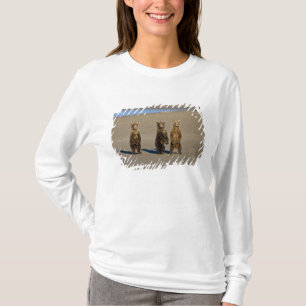 USA. Alaska. Coastal Brown Bear cubs T-Shirt