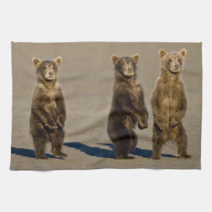 USA. Alaska. Coastal Brown Bear cubs Tea Towel