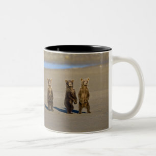 USA. Alaska. Coastal Brown Bear cubs Two-Tone Coffee Mug