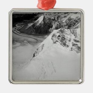 USA, Alaska, Denali National Park, Aerial view Metal Tree Decoration