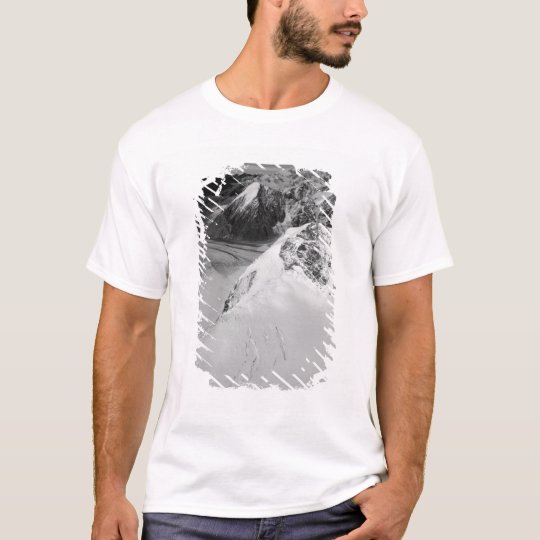 USA, Alaska, Denali National Park, Aerial view T-Shirt