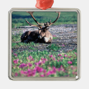 USA, Alaska, Denali National Park, Caribou Metal Tree Decoration