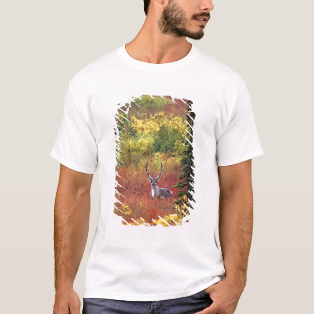 USA, Alaska, Denali National Park. Caribou T-Shirt (Front)