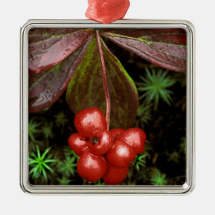 USA, Alaska, Denali National Park. Detail of Metal Tree Decoration