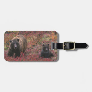 USA, Alaska, Denali National Park. Grizzly bear Luggage Tag