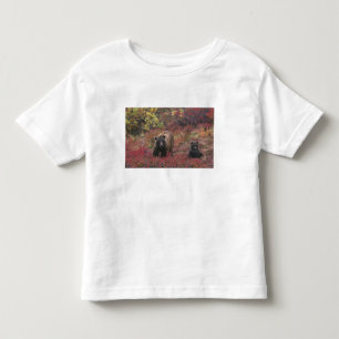 USA, Alaska, Denali National Park. Grizzly bear Toddler T-Shirt