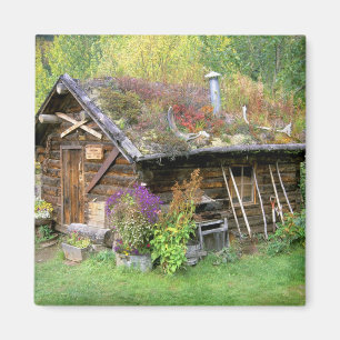 USA, Alaska, Denali National Park, Kantishna. Magnet