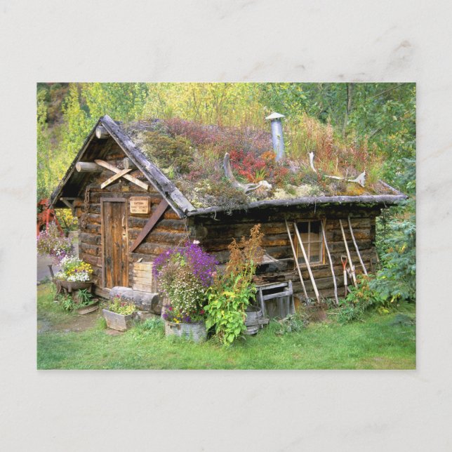 USA, Alaska, Denali National Park, Kantishna. Postcard (Front)