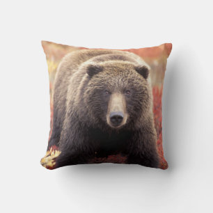 USA, Alaska, Denali NP, female Grizzly Bear Cushion