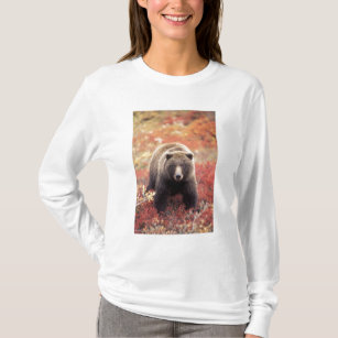 USA, Alaska, Denali NP, female Grizzly Bear T-Shirt