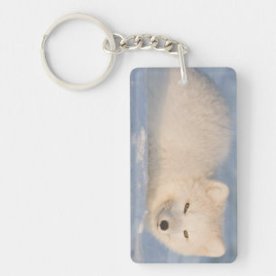 USA, Alaska, Fox Key Ring