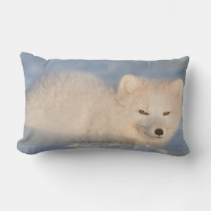 USA, Alaska, Fox Lumbar Cushion