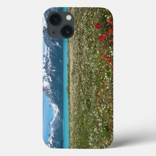 USA, Alaska, Glacier Bay National Park 2 iPhone 13 Case