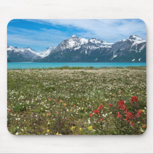 USA, Alaska, Glacier Bay National Park 2 Mouse Mat