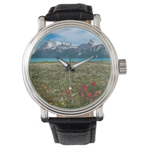 USA, Alaska, Glacier Bay National Park 2 Watch