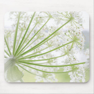 USA, Alaska, Glacier Bay National Park 3 Mouse Mat