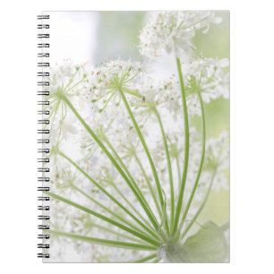 USA, Alaska, Glacier Bay National Park 3 Notebook