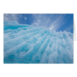 USA, Alaska, Glacier Bay National Park 4