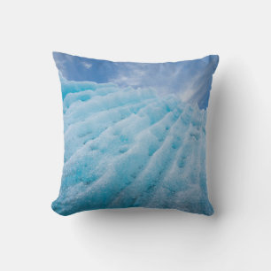 USA, Alaska, Glacier Bay National Park 4 Cushion
