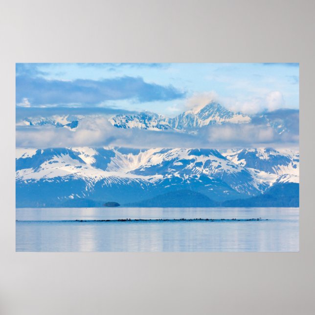 USA, Alaska, Glacier Bay National Park 6 Poster (Front)