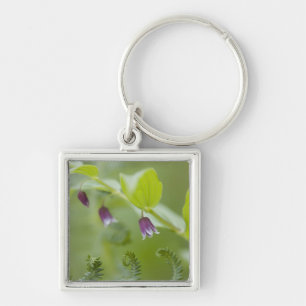 USA, Alaska, Glacier Bay National Park. Key Ring