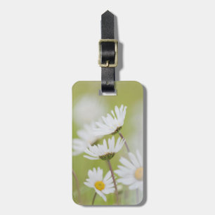 USA, Alaska, Glacier Bay National Park Luggage Tag