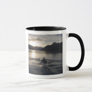 USA, Alaska, Glacier Bay National Park, Mug