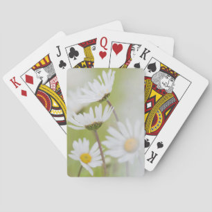 USA, Alaska, Glacier Bay National Park Playing Cards