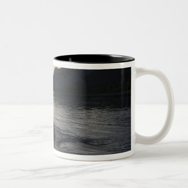 USA, Alaska, Glacier Bay National Park, Two-Tone Coffee Mug (Right)