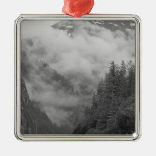 USA, Alaska, Juneau, Rainforest covers fjords in Metal Tree Decoration