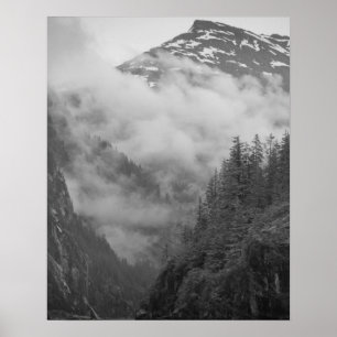 USA, Alaska, Juneau, Rainforest covers fjords in Poster