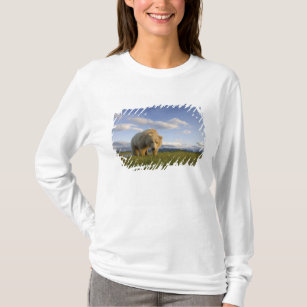 USA, Alaska, Katmai National Park, Brown Bear 3 T-Shirt