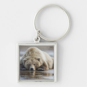 USA, Alaska, Katmai National Park, Brown Bear Key Ring