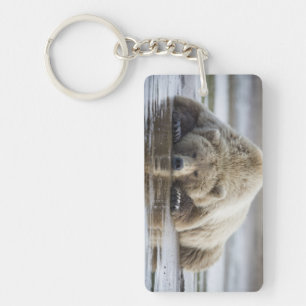 USA, Alaska, Katmai National Park, Brown Bear Key Ring