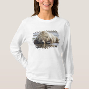 USA, Alaska, Katmai National Park, Brown Bear T-Shirt