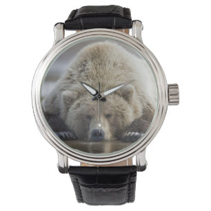 USA, Alaska, Katmai National Park, Brown Bear Watch