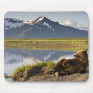 USA, Alaska, Katmai National Park, Brown Bears Mouse Mat