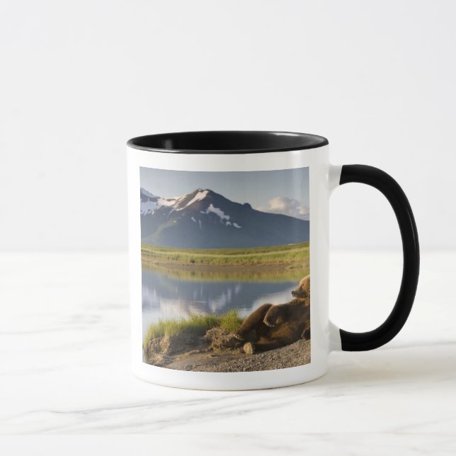 USA, Alaska, Katmai National Park, Brown Bears Mug (Right)