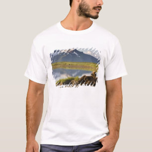 USA, Alaska, Katmai National Park, Brown Bears T-Shirt