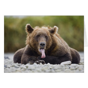 USA, Alaska, Katmai National Park, Kukak Bay,