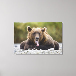 USA, Alaska, Katmai National Park, Kukak Bay, Canvas Print